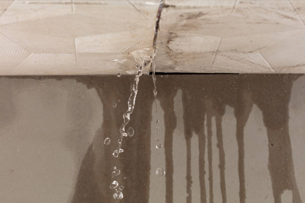 Professional Water Damage Inspection technician working in Grafton, NH